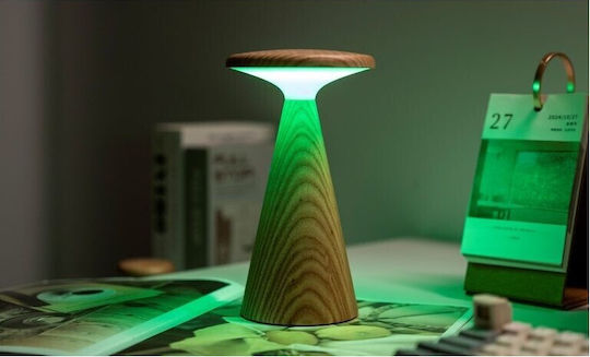 Gingko Φωτιστικό LED RGB Gingko Φωτιστικό LED RGB