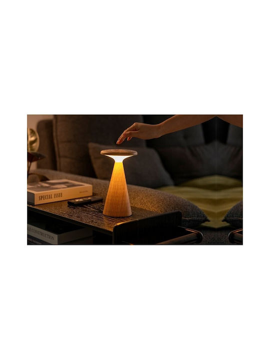 Gingko Διακοσμητικό Φωτιστικό LED RGB