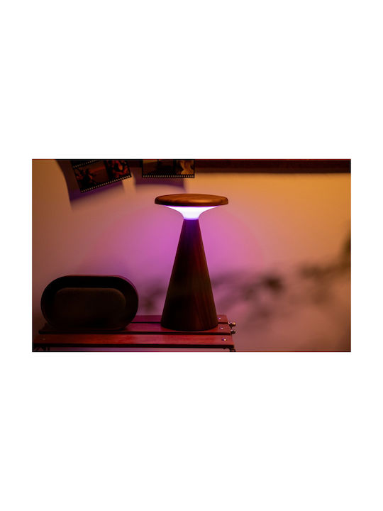 Gingko Διακοσμητικό Φωτιστικό LED RGB