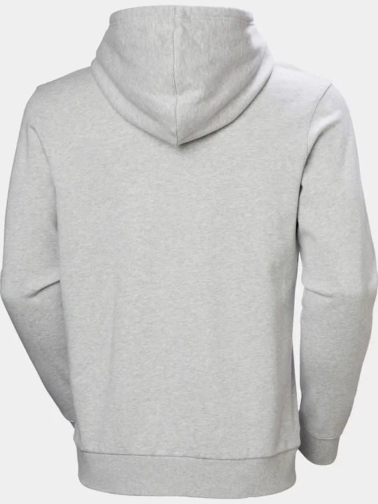 Sweatshirt mit Kapuze Gray