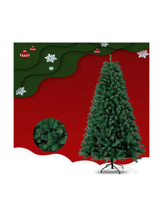 Christmas Tree Colorado 210cm