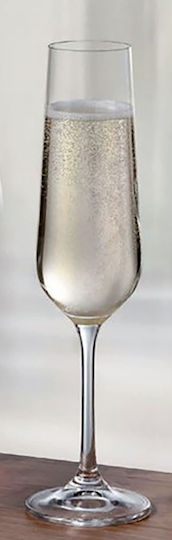 Bohemia Strix Ποτήρι από Κρύσταλλο Κολωνάτο 200ml