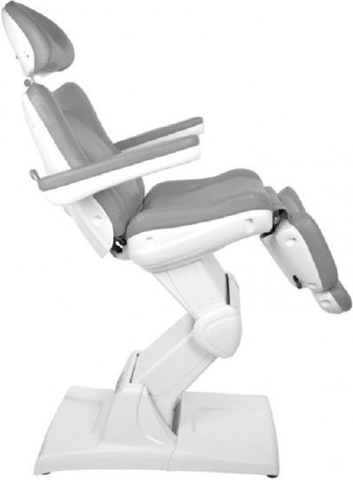 Beauty Chair Gray with Adjustable Height and Electric Lifting