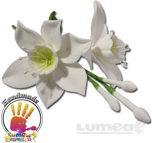 Lumea Продукти за кондиторство Пластмаса FS1206-02 240pcs