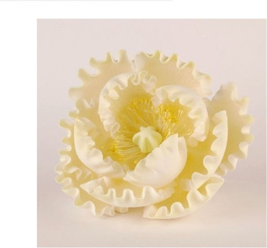 PME Accesorii de Patiserie Plastic STAM02LY 50pcs