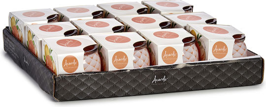 Acorde Aromatisches Kerze in Gefäß mit Orange Parfüm 230gr