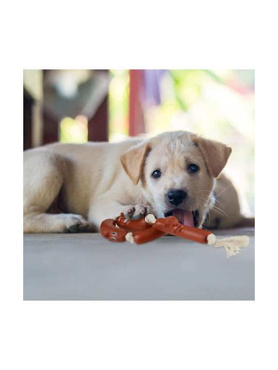 Relaxdays Παιχνίδι για Κουτάβι Μασητικό Small / Large 3εκ. Λευκό 1τμχ