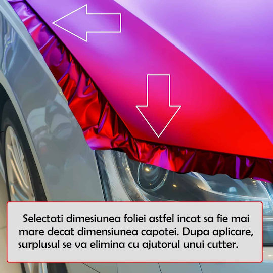 Autocolant Capotă "Artă Capotă" Rezistent la Exterior Mărime M 165 X 120cm Cod Avx-capota-023m