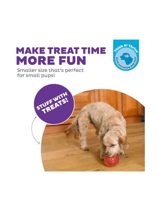 Outward Hound Lil' Snoop Interaktives Hundespielzeug Klein Rotes