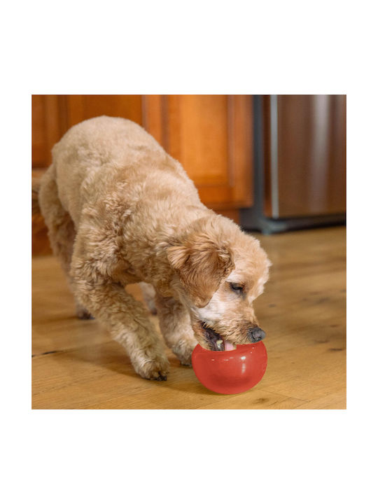 Outward Hound Lil' Snoop Interactive Treat Dispensing Dog Toy Small Red