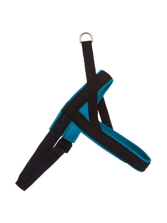 Nobby Training Mesh Harness Turquoise Large / Medium 35mm x -64cm Nobby Training Mesh Harness Turquoise Large / Medium 35mm x -64cm