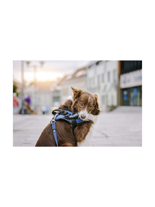 Ετικέτες Εξάρτημα Julius K9 Security S
