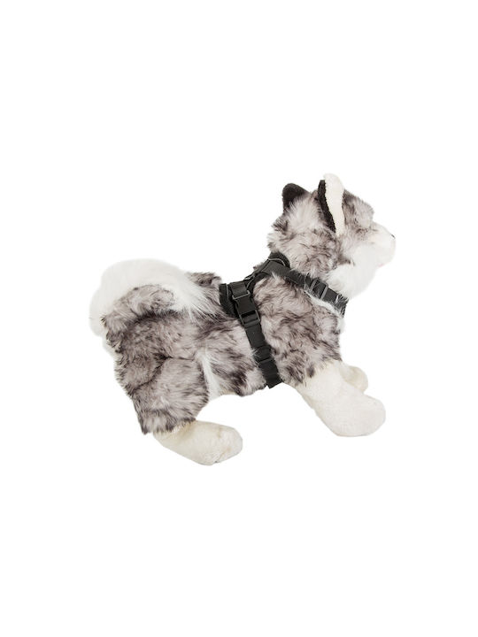 Hundegeschirr Schwarz 19343_XL