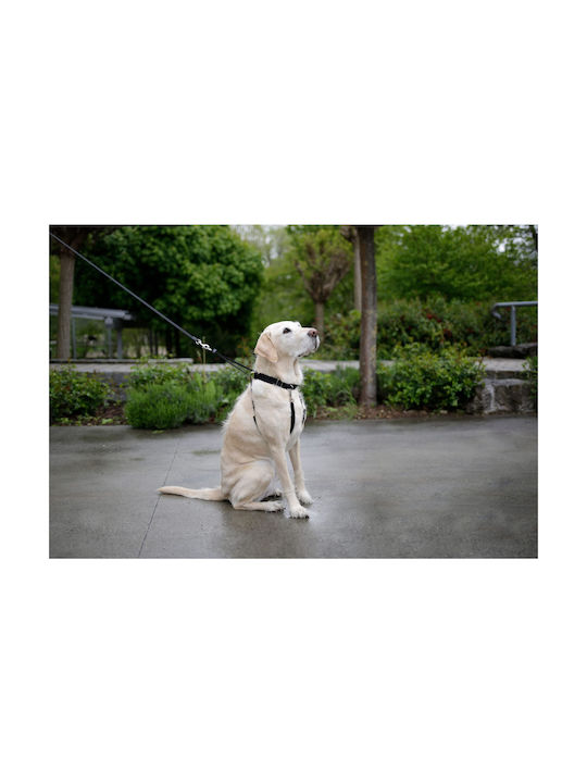 Kerbl Hundegeschirr Schwarz 83720