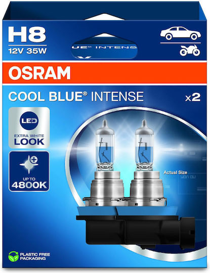 Osram Lamps Car & Motorcycle H8 Halogen 5000K Cold White 12V 35W 2pcs