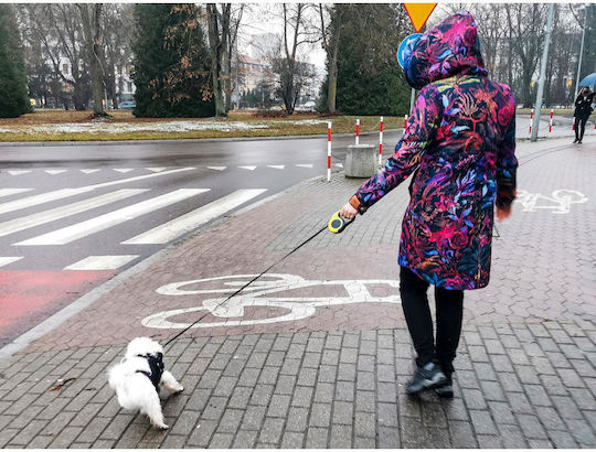 Alista Home Lesă/Cordon Câine Curea în culoarea Galben până la 8kg