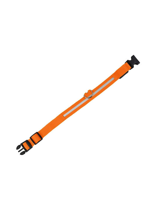 Orange Beleuchtetes Hundehalsband Avx-ag232c