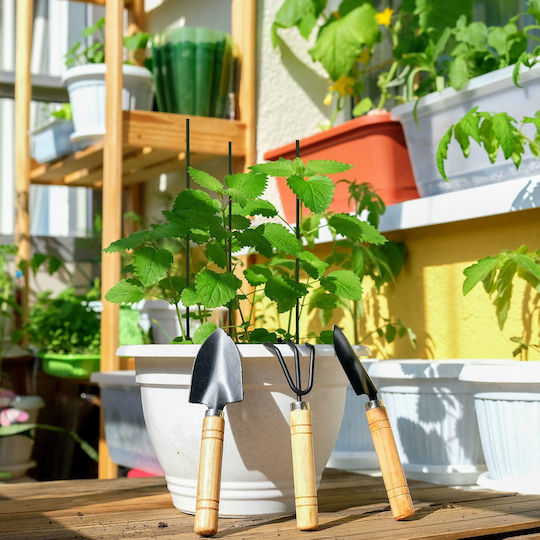 Relaxdays Plant Stakes Set 50 Bamboo Iron Climbing Support Tomatoes Etc Stabilization Diameter 6mm Black Relaxdays Plant Stakes Set 50 Bamboo Iron Climbing Support Tomatoes Etc Stabilization Diameter 6mm Black
