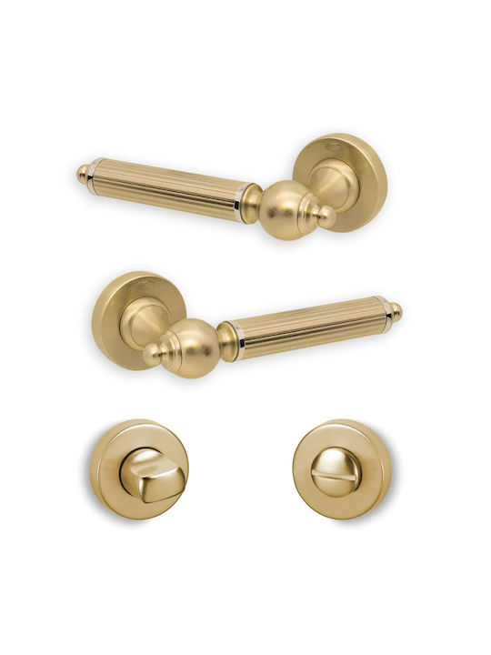 Convex Lever Middle Door with Rosette 1925 Pair with Rosette Matte Gold