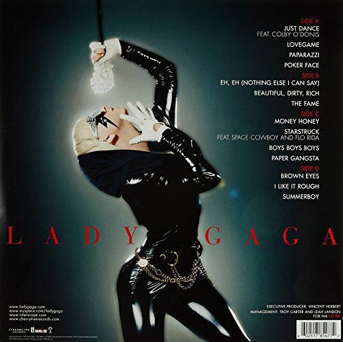 Lady Gaga Fame 1 Vinyl