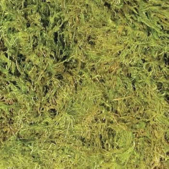Croci Frog Moss Substrate for Reptiles Terrarium