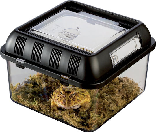 Exo Terra Faunarium Reptilien Terrarium Terrarium 46x30x17cm