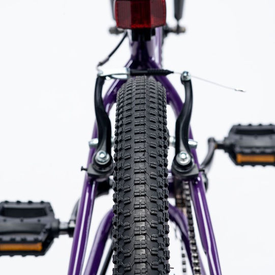 Martes Ninja 20" Bicicletă pentru copii Biciclete de munte Violet