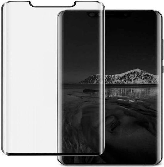 Evelatus Tempered Glass (Huawei Mate 30 Pro)