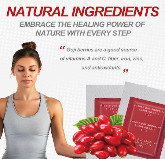 Kinoki Pro Organic Επιθέματα Αποτοξίνωση Άρωμα Wolfberry 10τμχ