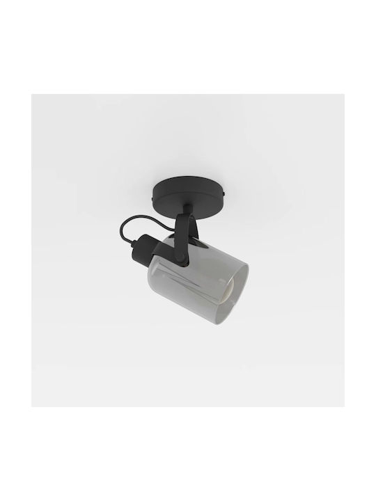 Eglo Berregas Single Spot with Socket E27 in Silver Color