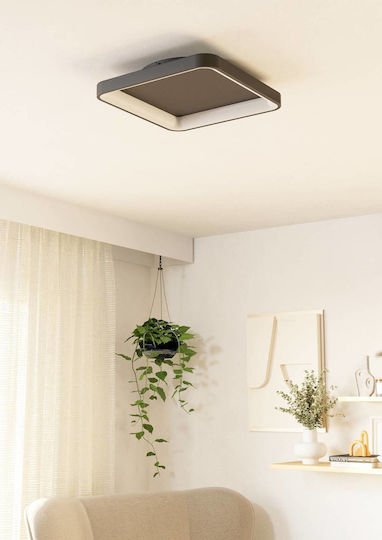 Eglo Ceiling Mount Light 35cm Black