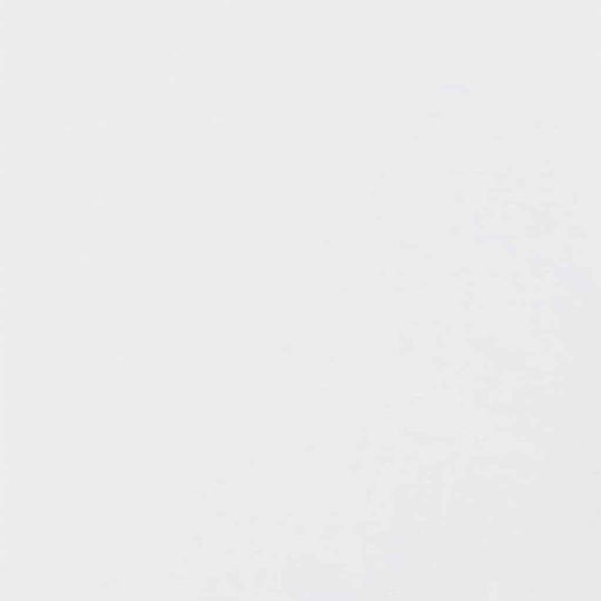 vidaXL Papierband 42019666 38mm x 50m