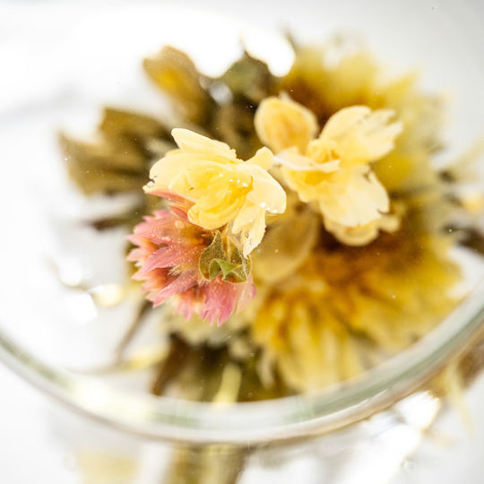 Fairy Blooming Grüner Tee China Champion