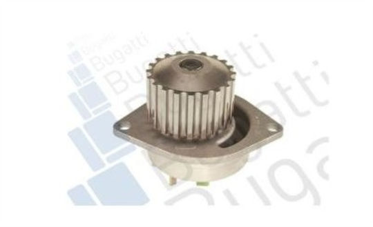 Bugatti Car Water Pump for Citroen AX / BX / ZX / Xsara / Saxo / C15 Nissan Micra