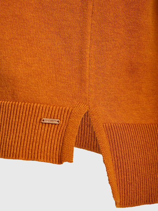 Women's Sweater Cotton Turtleneck Brown
