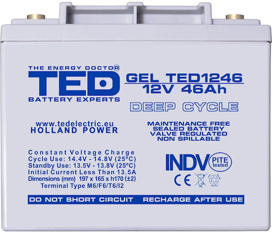TED Electric Baterie UPS cu Capacitate 46Ah și Tensiune 12V A0058591 1buc