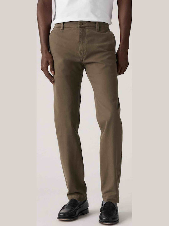 Xx Hose Chino Olive
