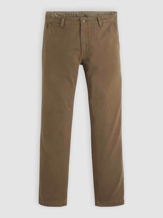 Xx Hose Chino Olive