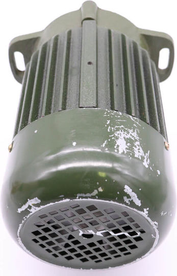 Maxima Motor