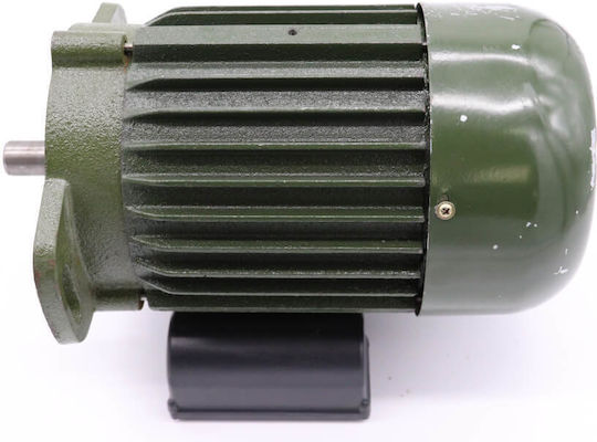 Maxima Motor
