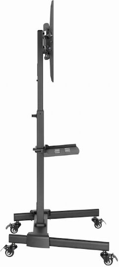 Gembird TVS-55T-01 Βάση Τηλεόρασης Δαπέδου έως 55" και 35kg