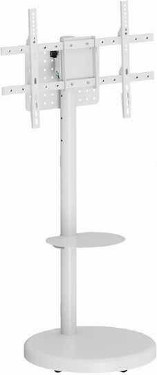 Gembird TVS-86TR-01-W Βάση Τηλεόρασης Δαπέδου έως 86" και 50kg Λευκό