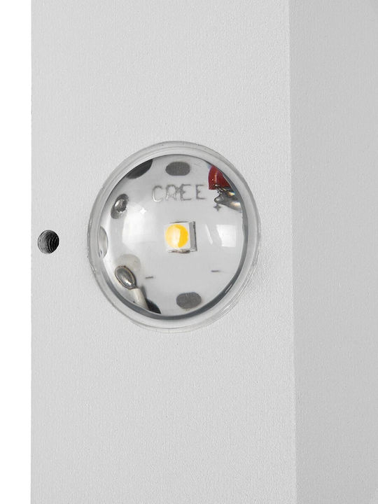 kelvo Kelvo Arkos Wall-Mounted Outdoor Spot Light LED IP65 8W with Warm White Light 14x5.5x14εκ.