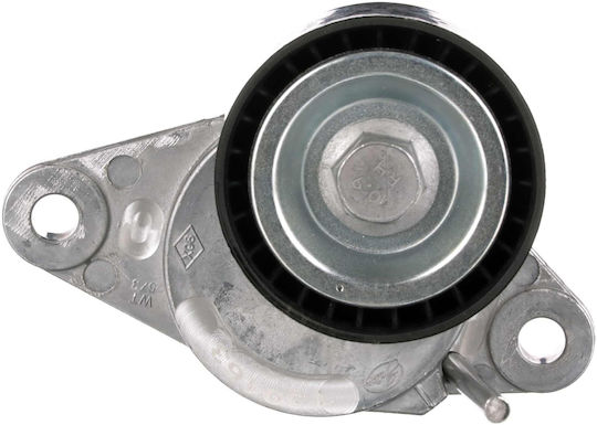Gates T39163 Tenzontreiber für Auto Lichtmaschinen