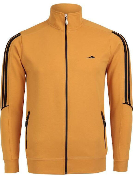 Sport Taims