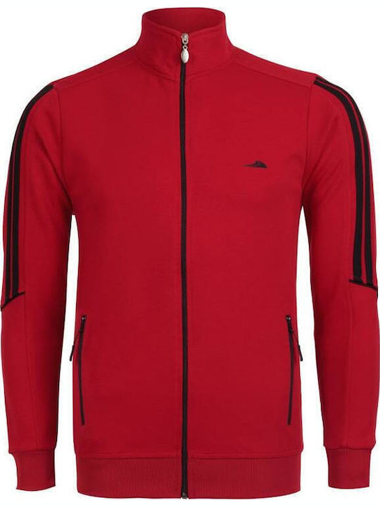 Sport Taims