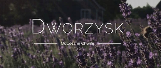 Dworzysk Dworzysk Chorepste Loose Tea 35g