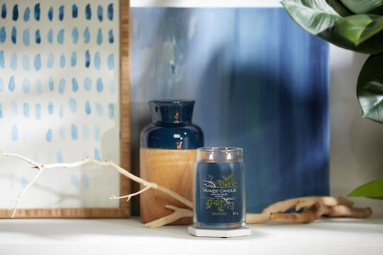 Yankee Candle Lumânare Aromatică Signature în Borcan cu Miros Cedru de la țărm 567gr