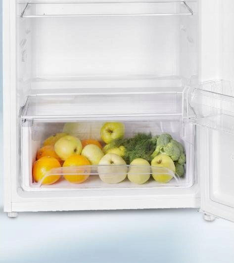 MPM Μονόπορτο Ψυγείο 190lt Υ122xΠ55xΒ56.5εκ. Λευκό MPM-200-CJ-29/E