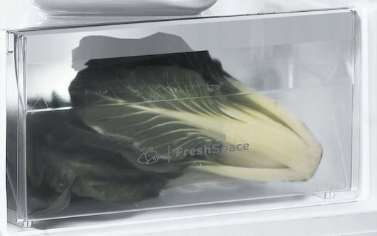 Indesit Frigider de conservare 323lt Î167xL59.5xA64.5cm. Inox SI6 2 S EU